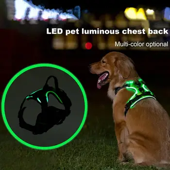 1 Комплект светящейся шлейки для домашних животных, перезаряжаемая шлейка для собак со светодиодной подсветкой, Регулируемый светящийся нагрудный ремень для домашних животных для ночных прогулок