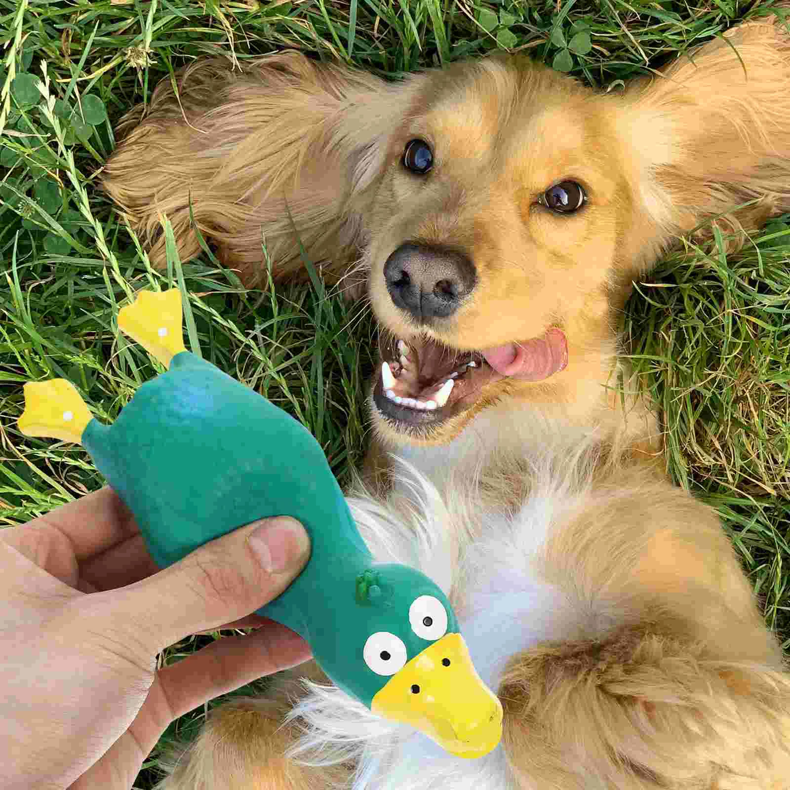 Игрушка для жевания собак в форме цыпленка, латексная кричащая курица, Скрипучая игрушка для собак, игрушка для щенков Изображение 2