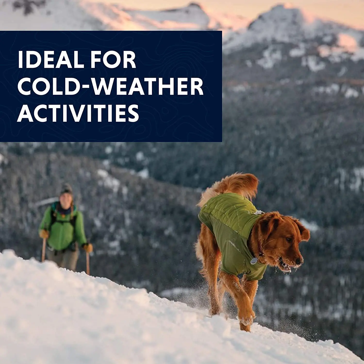 Утепленная водонепроницаемая куртка Powder Hound для собак в холодную погоду, Зимнее снаряжение для собак, Гибридная куртка с рукавами Изображение 5